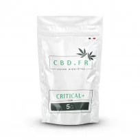 Critical + - Fleur de CBD - CBD.fr