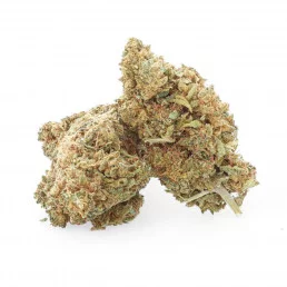 Pineapple Express - Fleur de CBD - CBD.fr