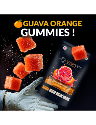 Gummies THC : CBD Guava Orange - Silent Seeds