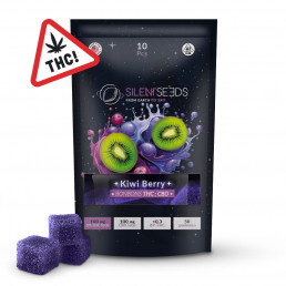 Gummies THC : CBD Kiwi Berry