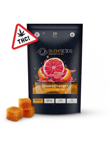 Gummies THC : CBD Guava Orange - Silent Seeds