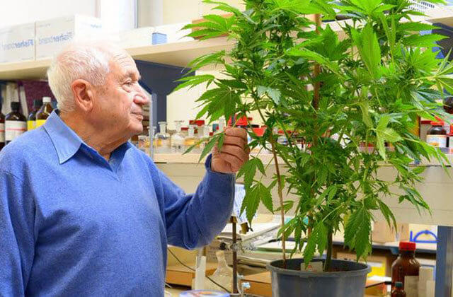 Le Professeur Mechoulam transforme à nouveau l’industrie du Cannabis