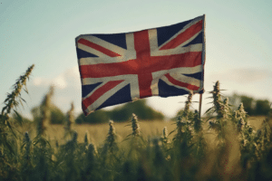 UK CBD regulation