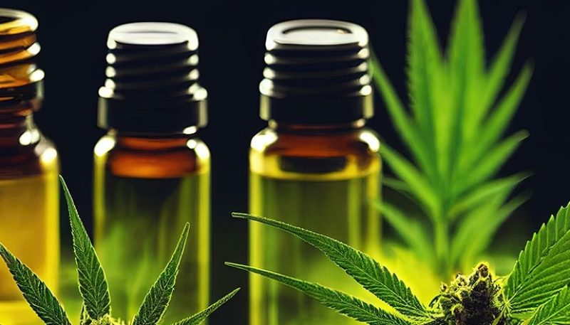 Quels Sont Les Différents Types D’huiles CBD ? - CBD Blog