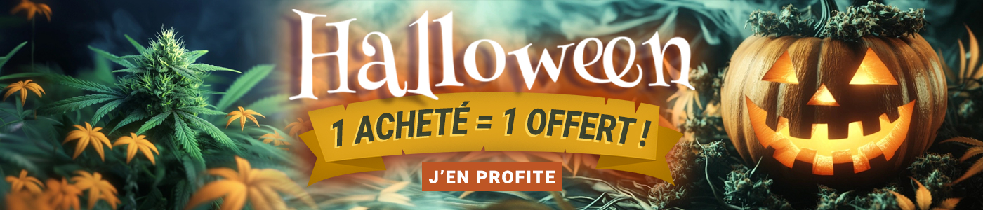 Promo Halloween CBD